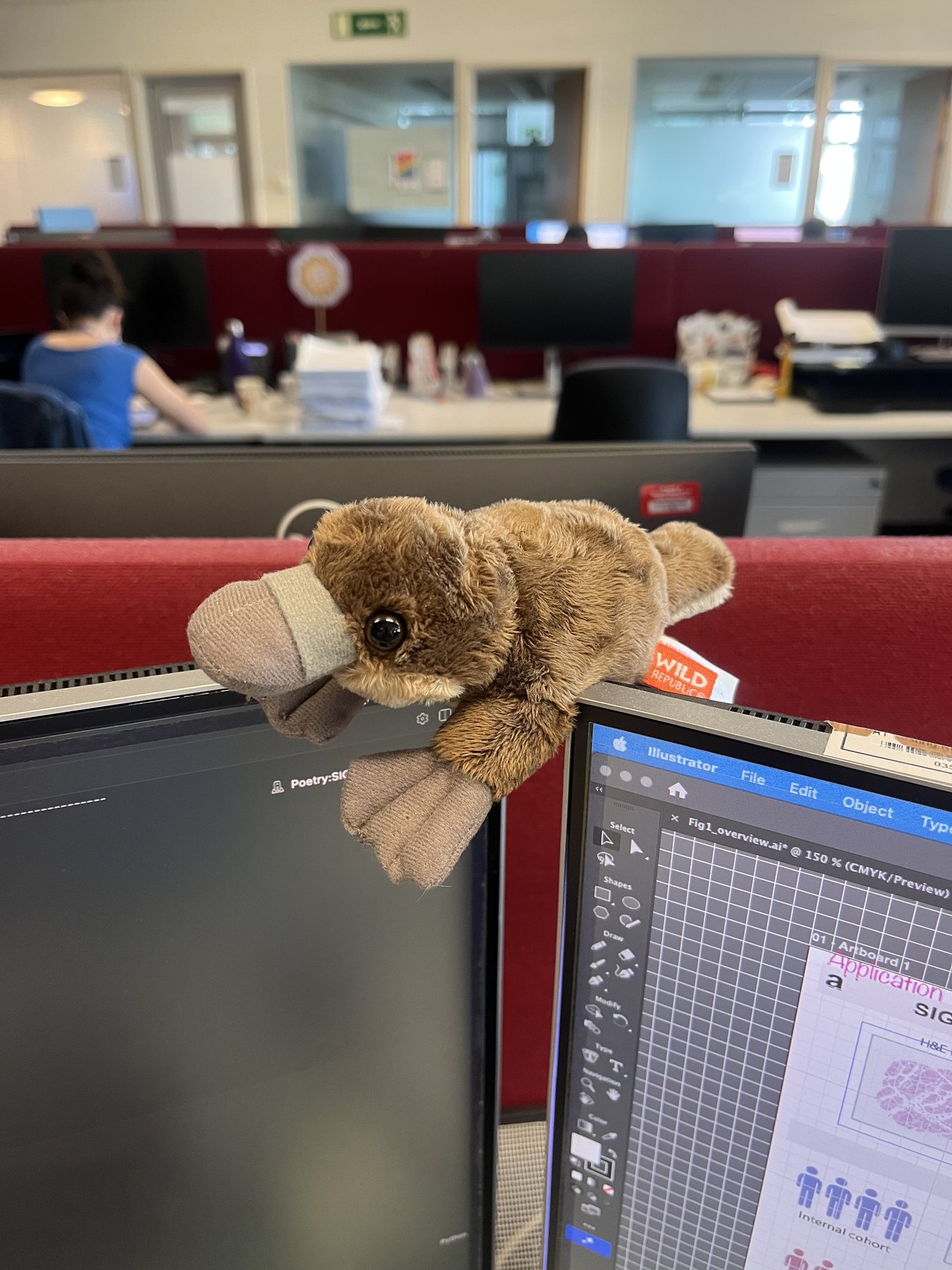 A stuffed platypus perched on top of a monitor in the lab